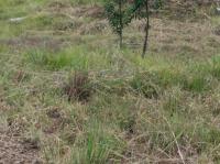  of property in Middelburg - MP