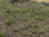  of property in Middelburg - MP