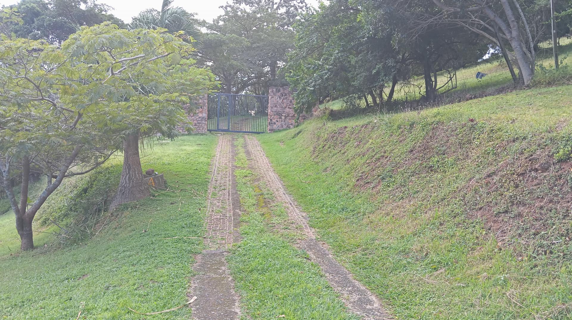 Front View of property in Forest Hill