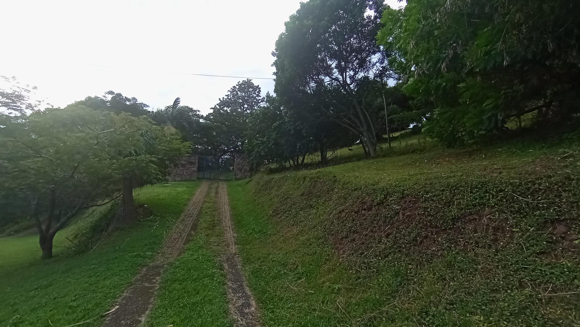 Front View of property in Forest Hill