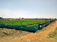  of property in Bapsfontein