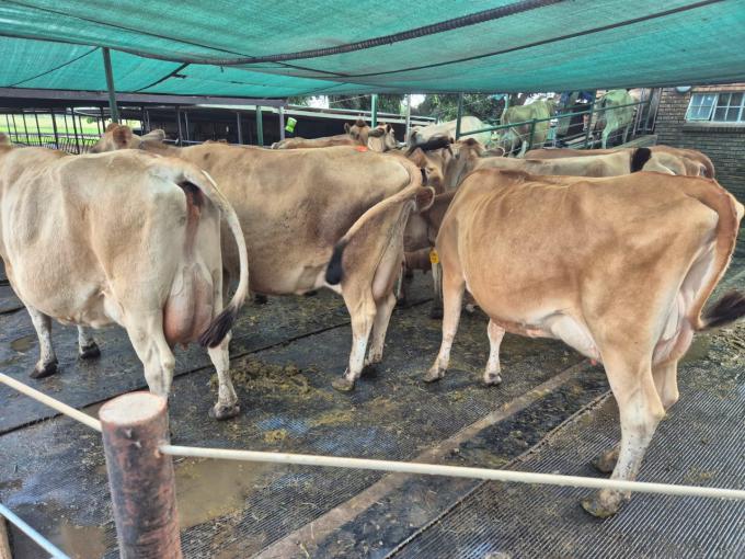 Farm for Sale For Sale in Rietkol AH - MR712417