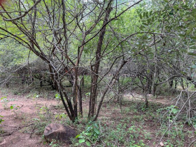 Land for Sale For Sale in Marloth Park - MR712590