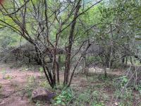  of property in Marloth Park
