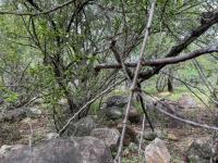  of property in Marloth Park