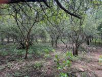  of property in Marloth Park