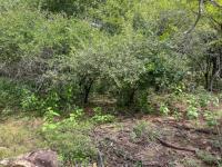  of property in Marloth Park