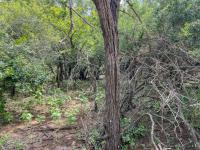  of property in Marloth Park