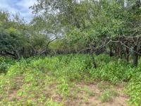  of property in Marloth Park