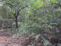  of property in Marloth Park