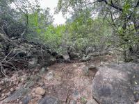  of property in Marloth Park