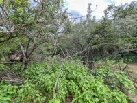  of property in Marloth Park