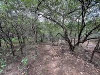  of property in Marloth Park