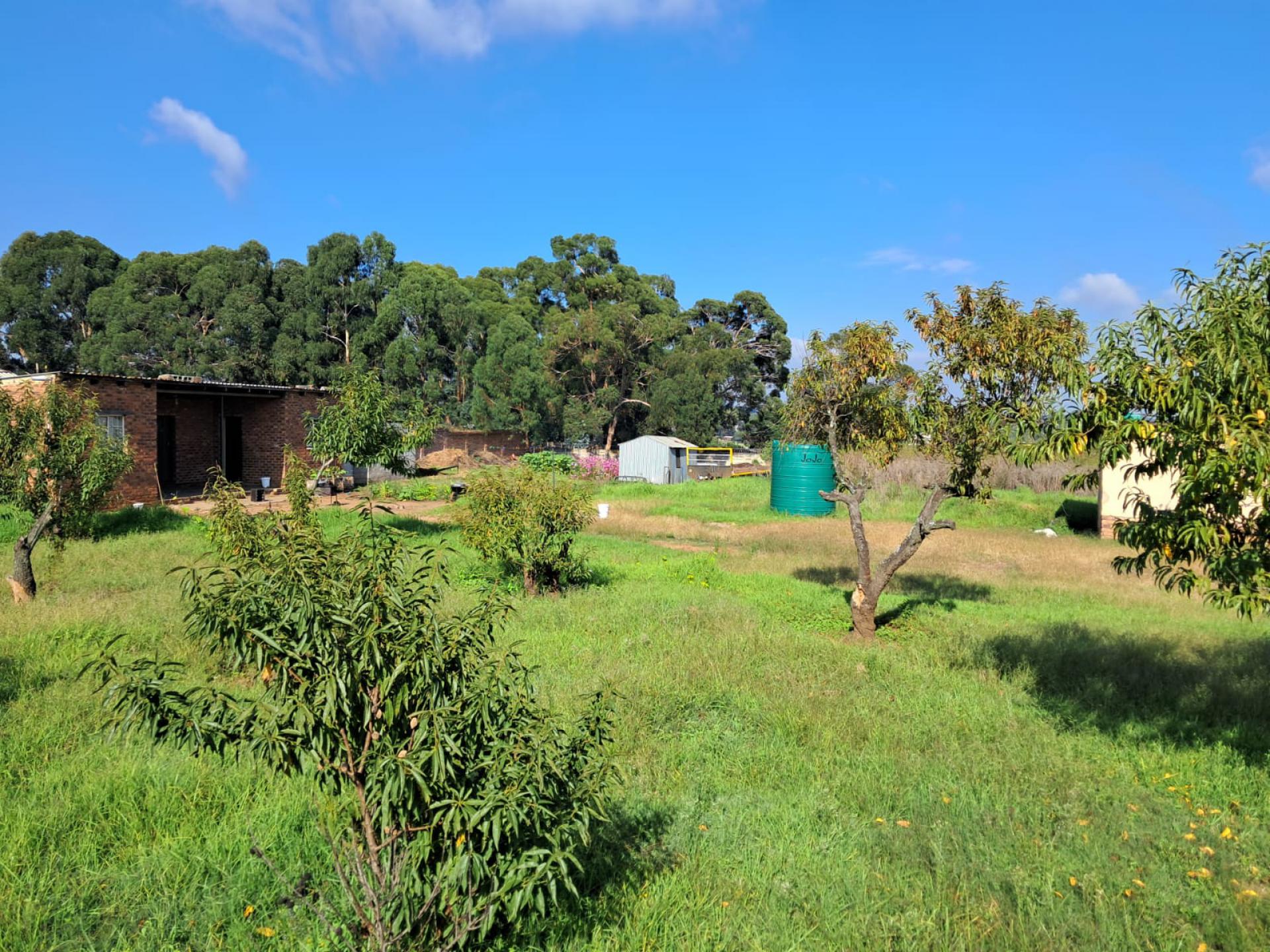  of property in Benoni AH