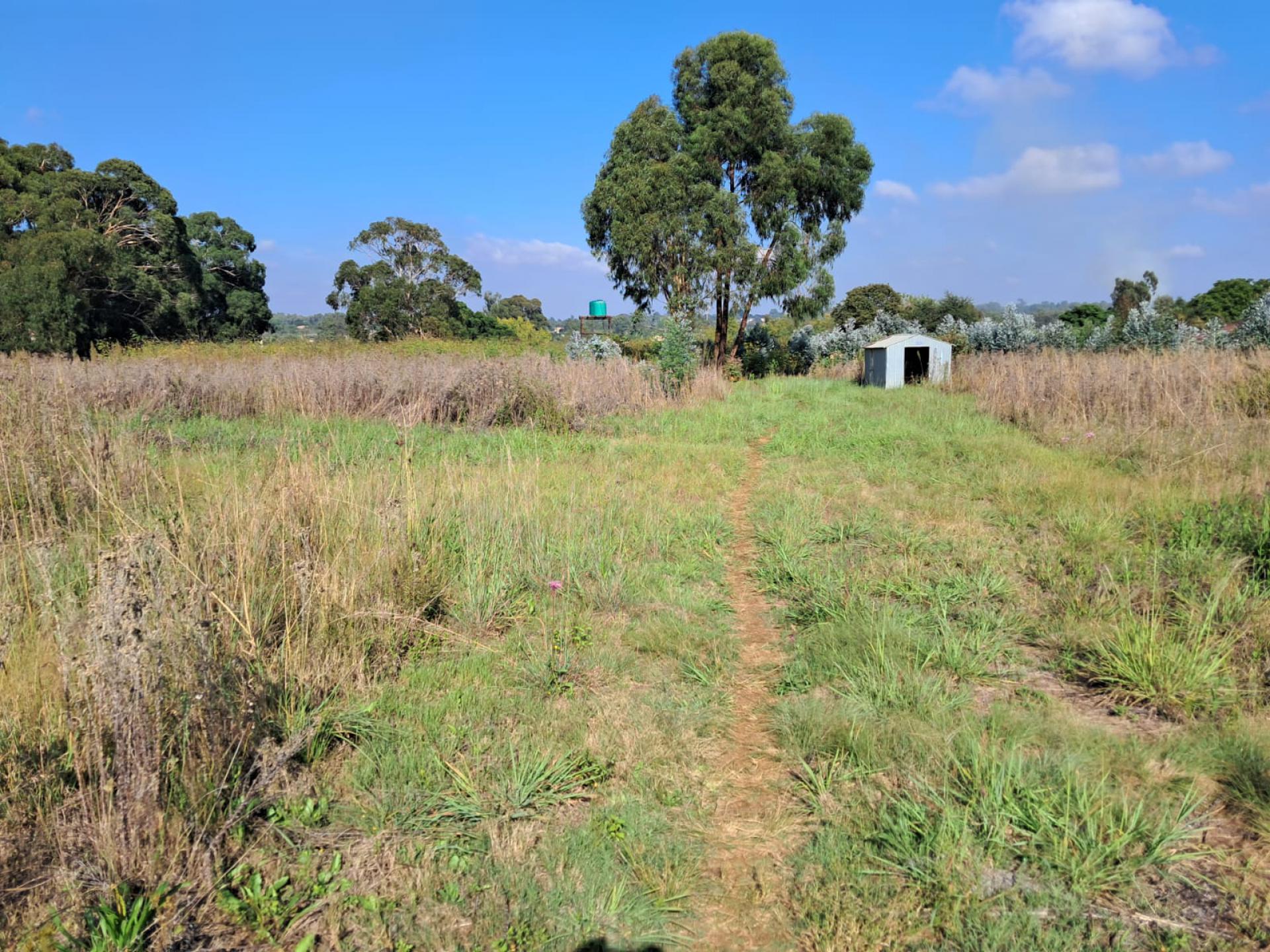  of property in Benoni AH