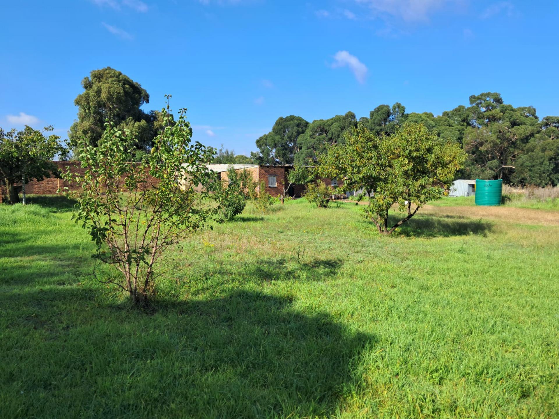  of property in Benoni AH