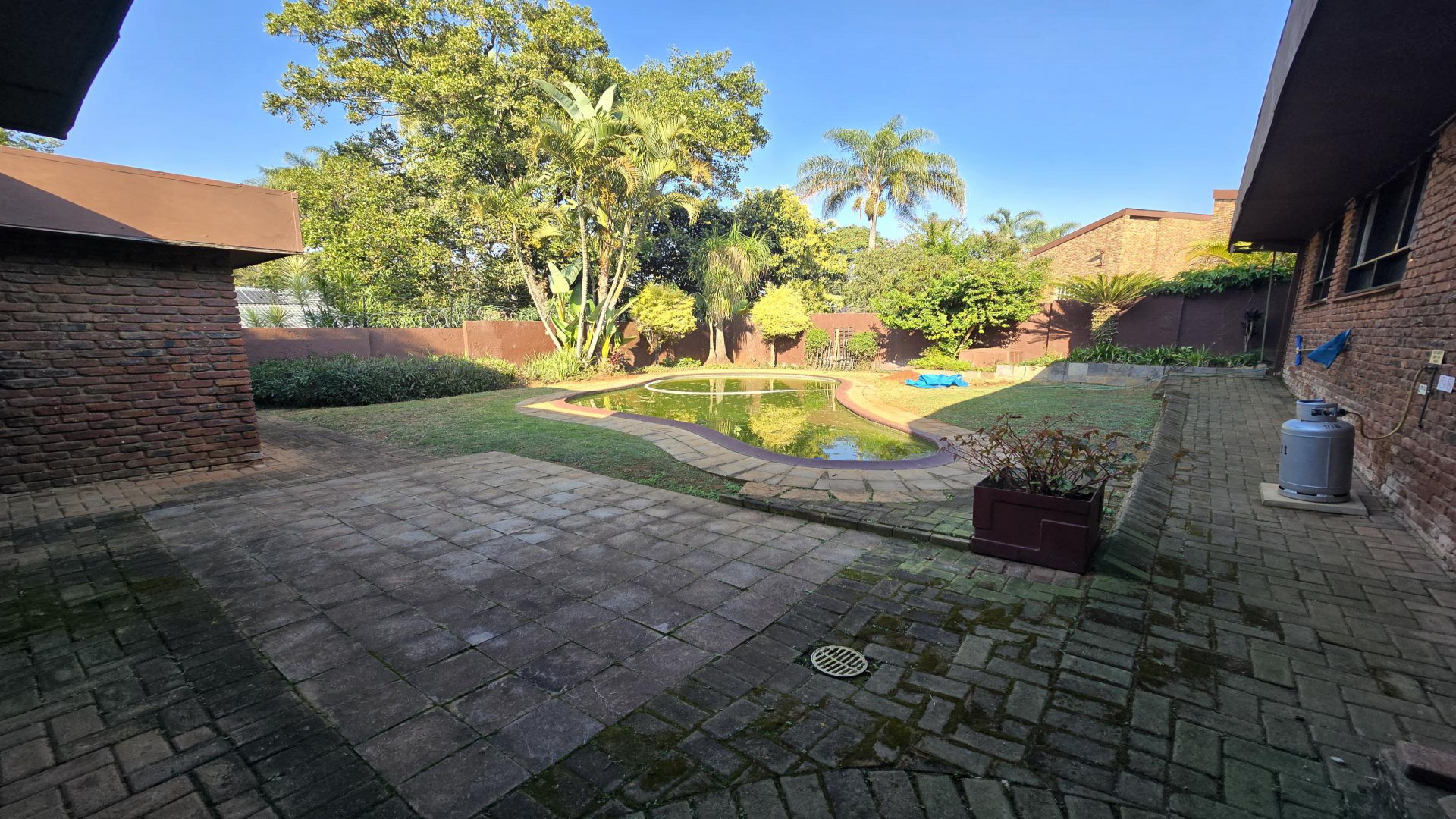 Backyard of property in White River