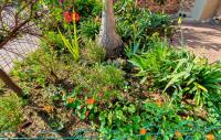  of property in Lambton