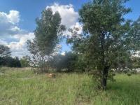  of property in Wigwam