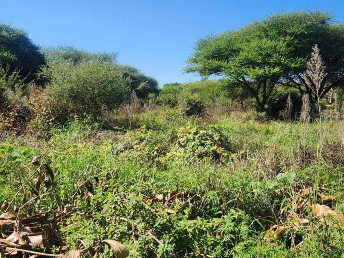 Land for Sale For Sale in Bendor - MR713114