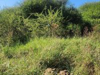  of property in Bendor