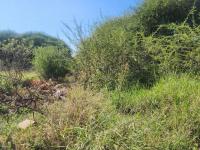  of property in Bendor