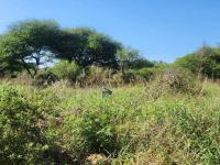  of property in Bendor