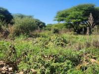  of property in Bendor