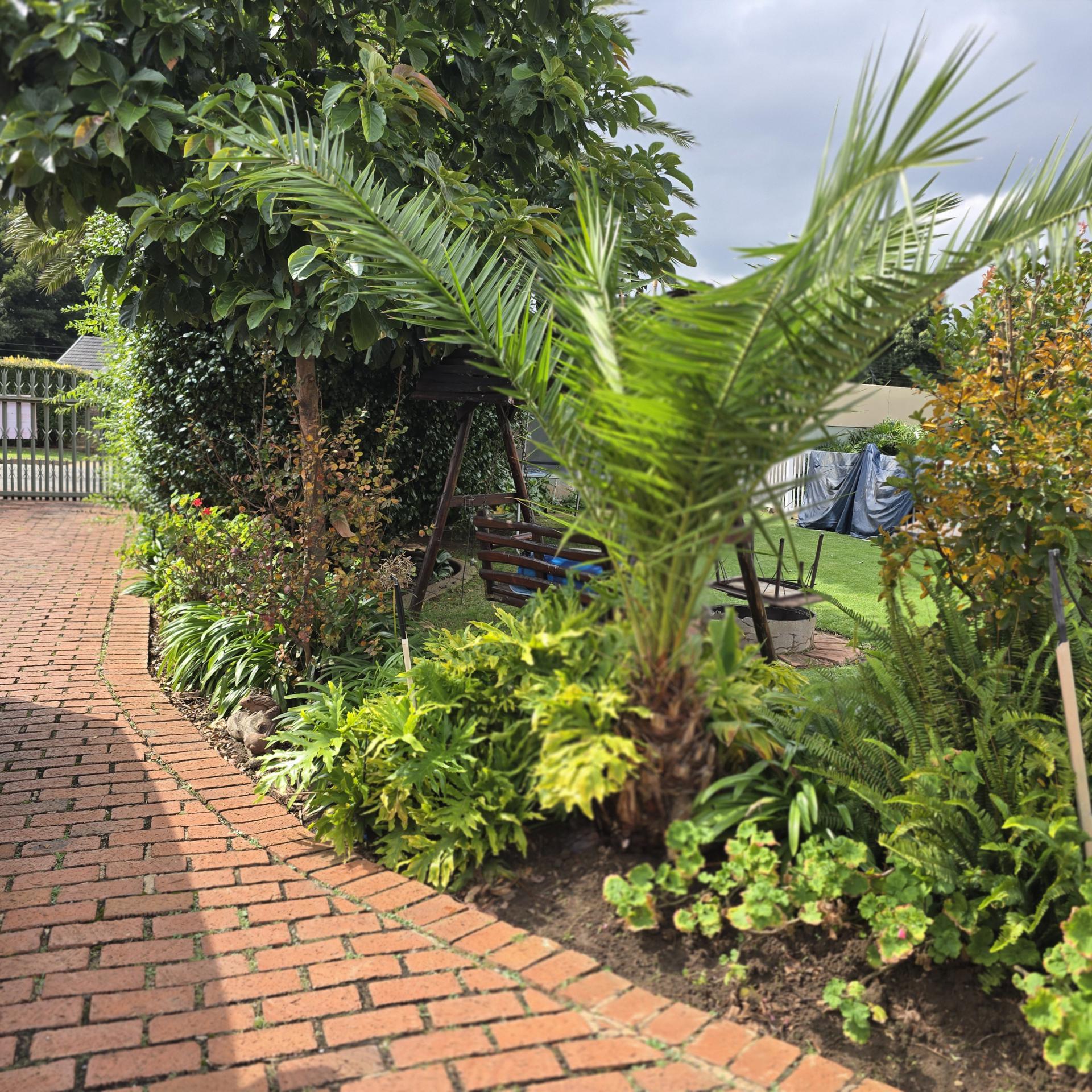  of property in Bonaero Park
