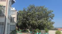  of property in Robindale
