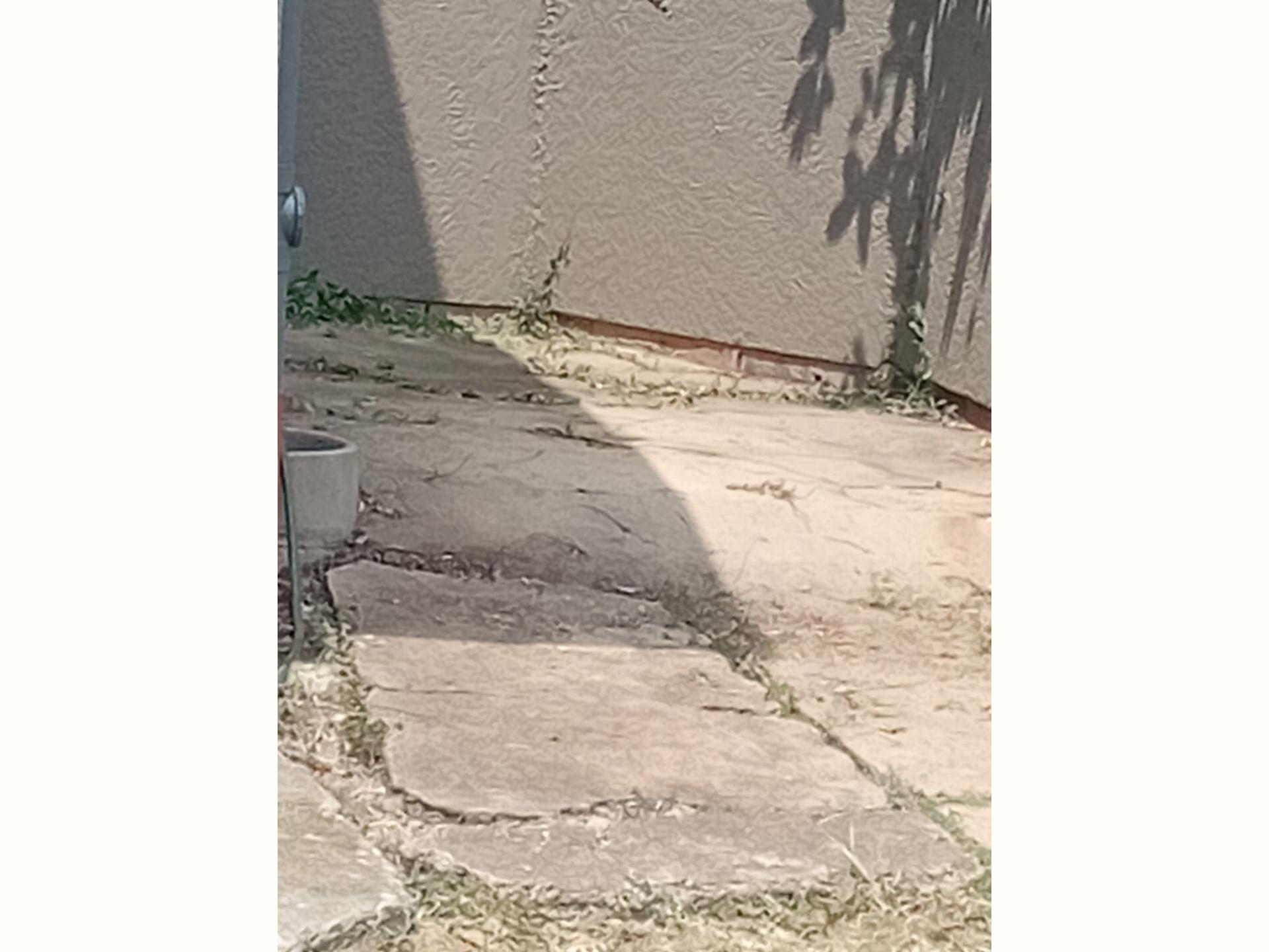  of property in Crystal Park