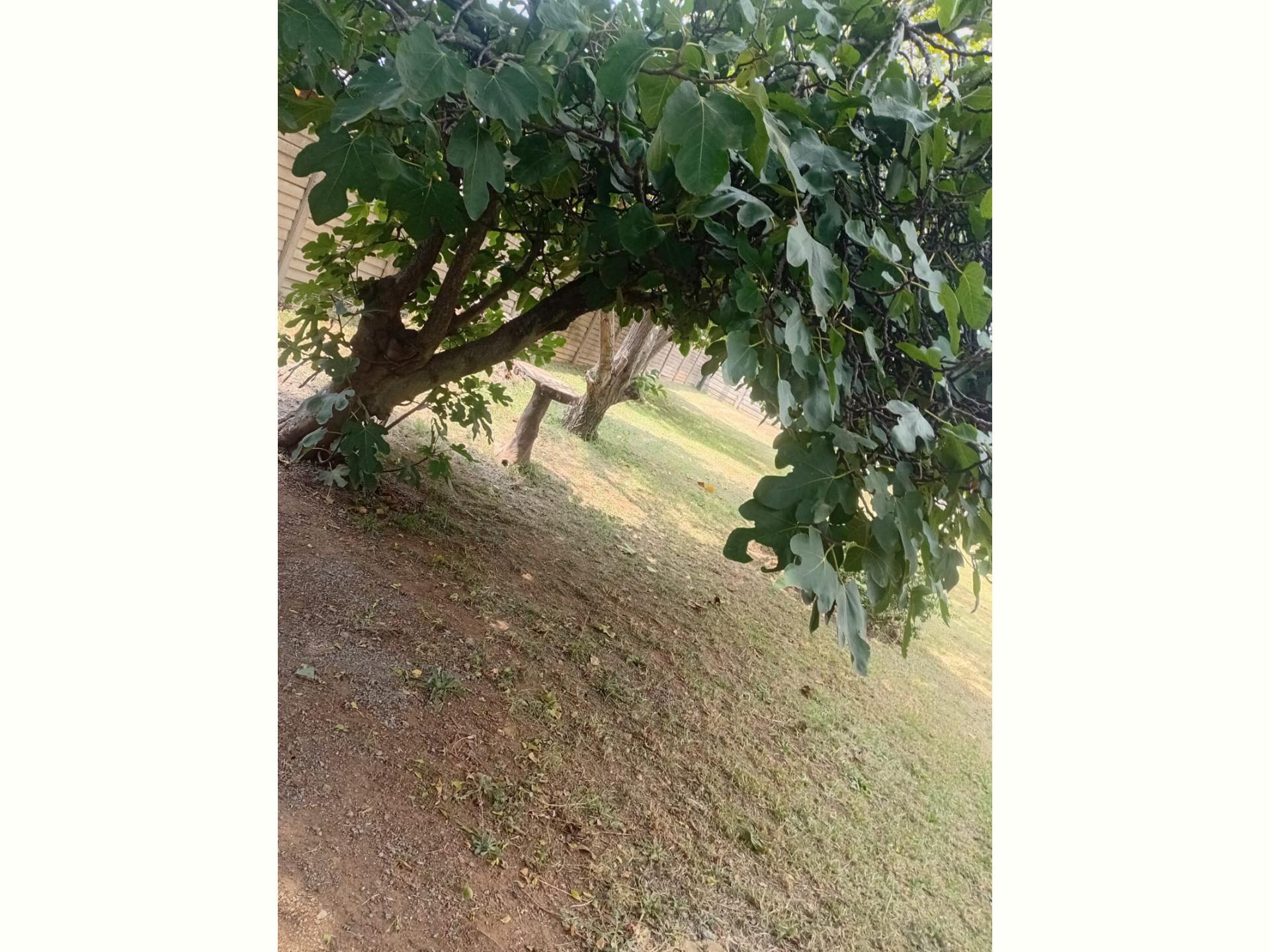  of property in Crystal Park