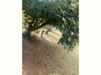  of property in Crystal Park