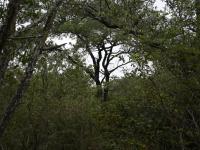  of property in Hoedspruit