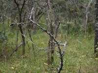  of property in Hoedspruit
