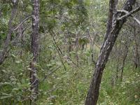  of property in Hoedspruit