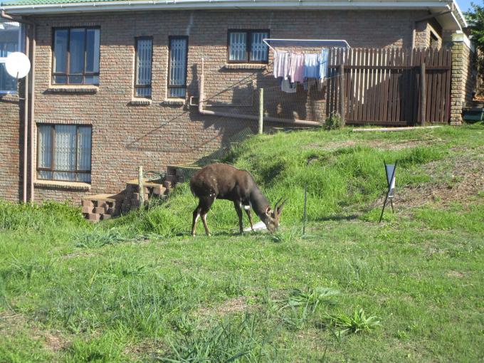Land for Sale For Sale in Mossel Bay - MR713848