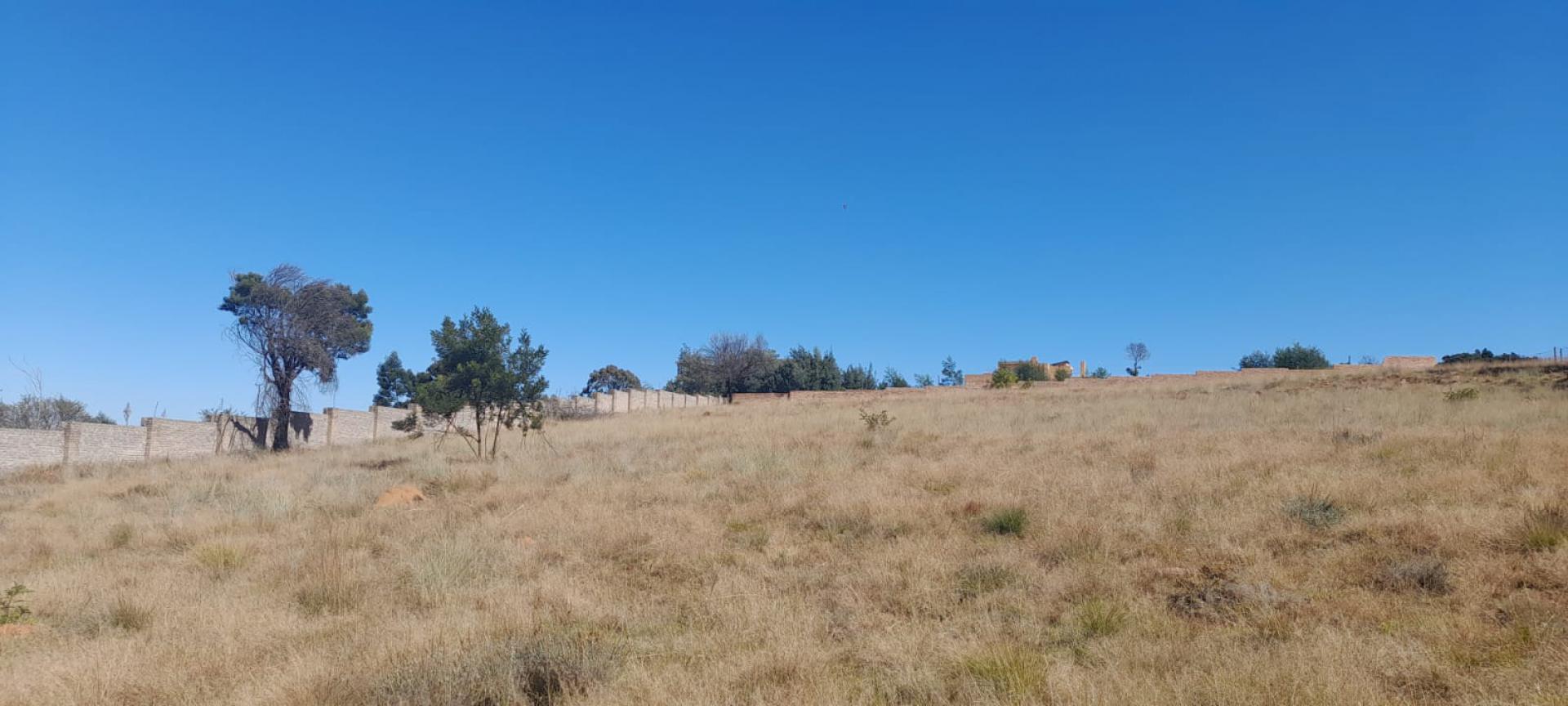  of property in Walkerville