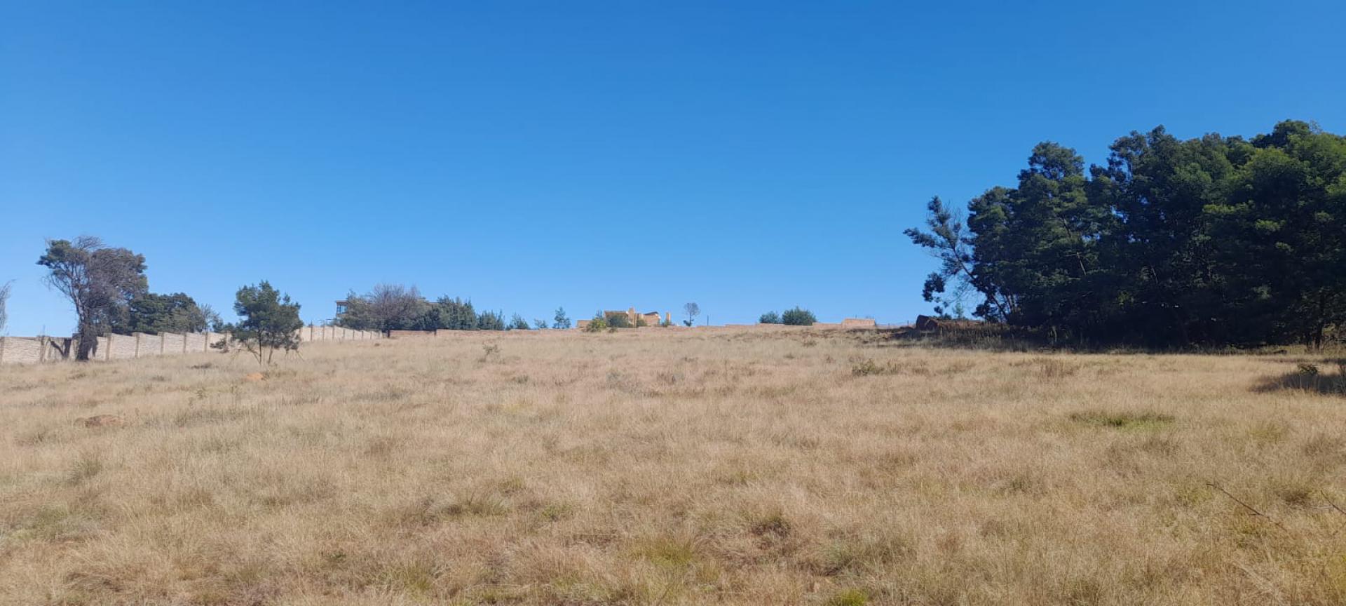  of property in Walkerville