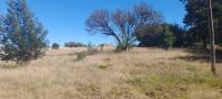  of property in Walkerville