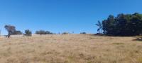  of property in Walkerville