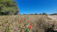  of property in Polokwane