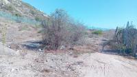  of property in Saldanha