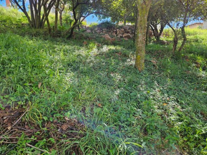 Land for Sale For Sale in Cashan - MR714182