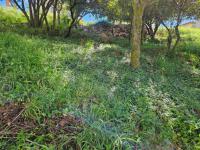  of property in Cashan
