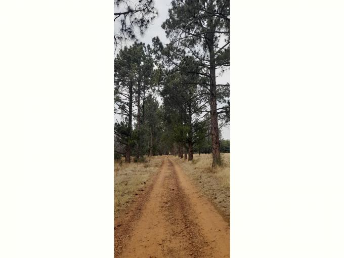 Farm for Sale For Sale in Walkerville - MR714213