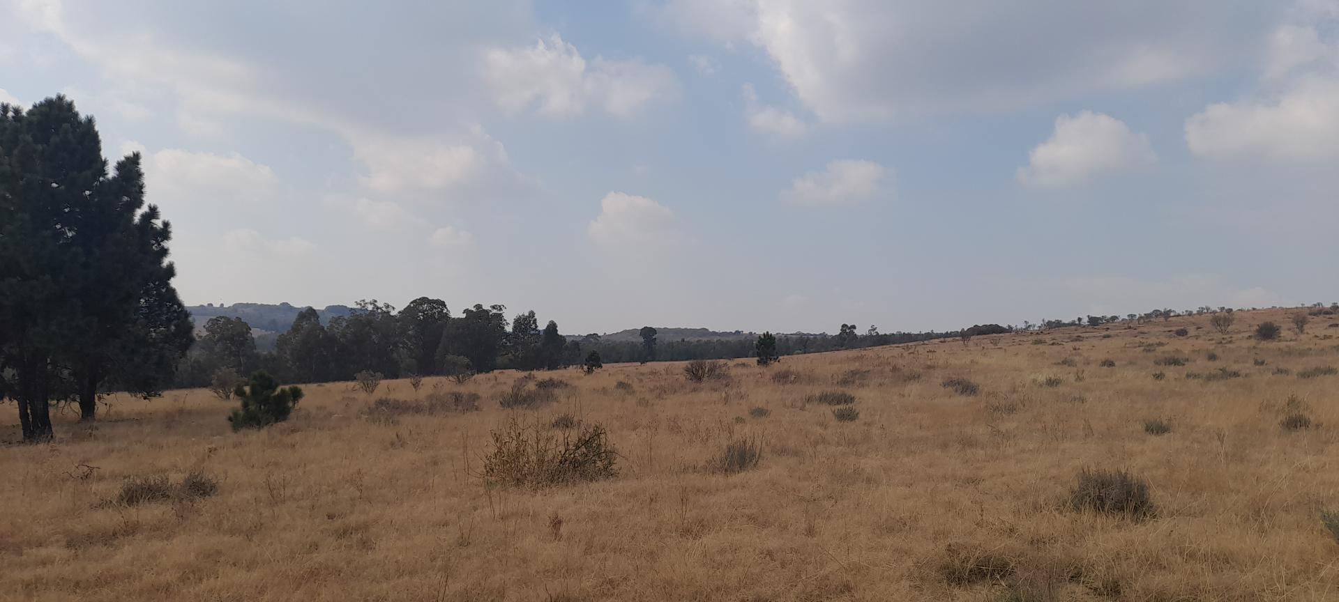  of property in Walkerville