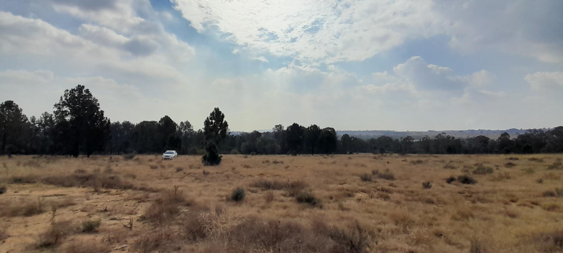  of property in Walkerville