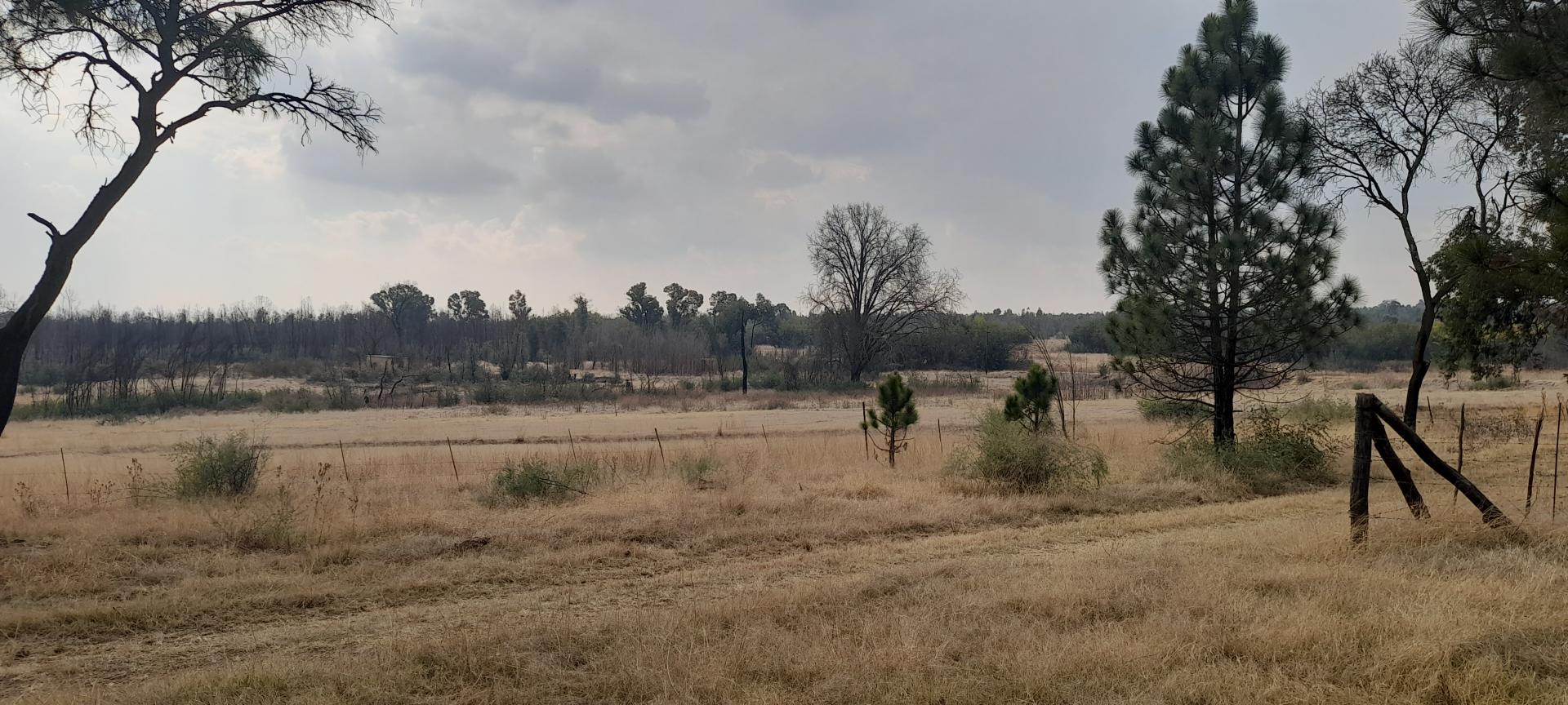  of property in Walkerville