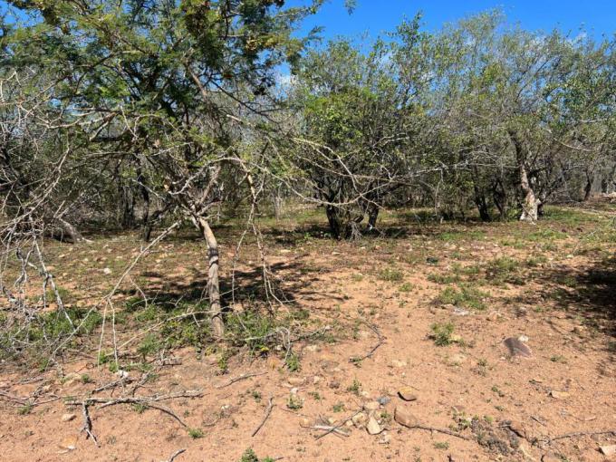 Land for Sale For Sale in Marloth Park - MR714372
